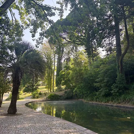 Casa D'avo Amalia Σπίτι διακοπών Travanca